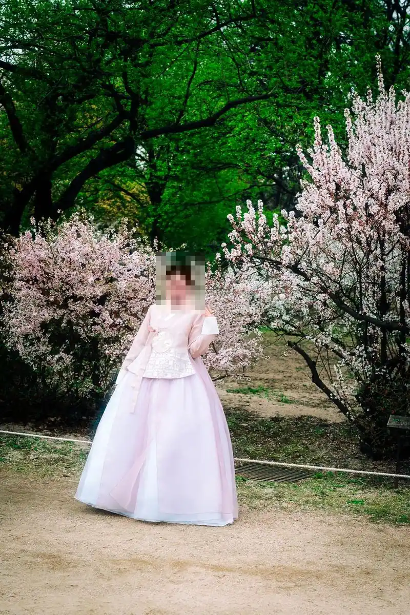봄밤 일산요정 뜰, 매화 사이에 선 연분홍 한복 여성 전체 모습