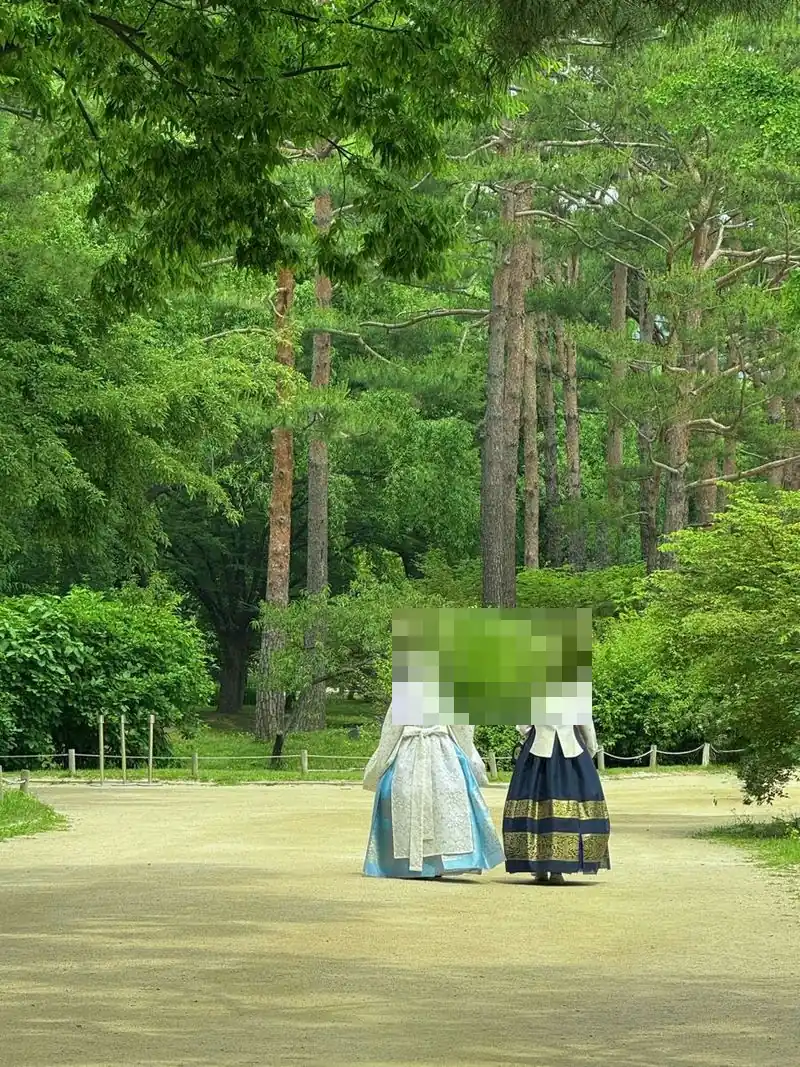 일산명월관 국악 가락처럼 숲길을 걷는 한복 두 사람 전신
